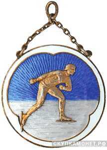  Призовой жетон по конькобежному спорту, спортивные знаки и жетоны, фото 1 