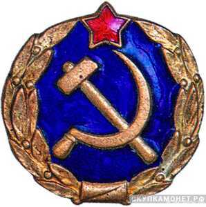  Знак-эмблема сотрудников мест заключения НКВД (Синяя эмаль), фото 1 