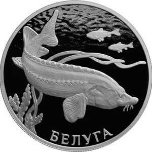  2 рубля 2019 года, Белуга, фото 2 