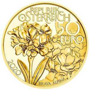  50 Евро 2020 года, Альпийские леса, фото 1 