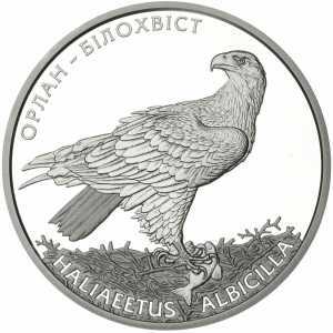  10 гривен 2019 года, Орлан-белохвост, фото 2 