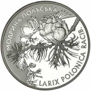  10 гривен 2001 года, Модрина польская, фото 2 