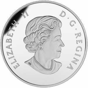  5 центов 2015 года, Бобр, фото 1 