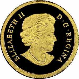  50 центов 2011 года, Косатка, фото 1 