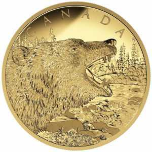  1000 долларов 2016 года, Медведь Гризли, фото 2 
