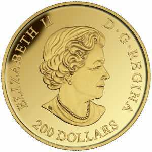  200 долларов 2016 года, Discovery, фото 1 