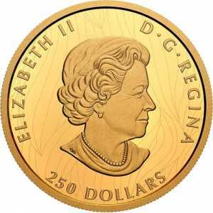  250 долларов 2020 года, Гордый белоголовый орел, фото 1 