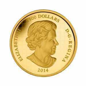  2 500 долларов 2014 года, Снежная сова, фото 1 