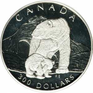  300 долларов 1990 года, Полярный медведь, фото 2 