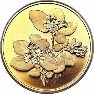 350 долларов 2001 года, Эпигея ползучая, фото 2 