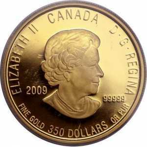  350 долларов 2009 года, Насекомоядное растение, фото 1 