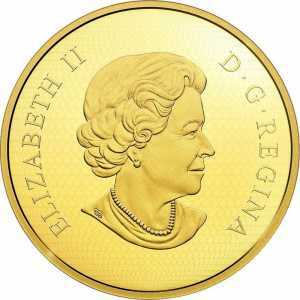  500 долларов 2018 года, Виргинский филин, фото 1 