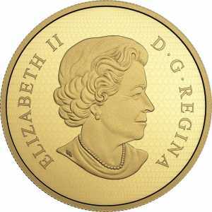  500 долларов 2017 года, Краснохвостый сарыч, фото 1 