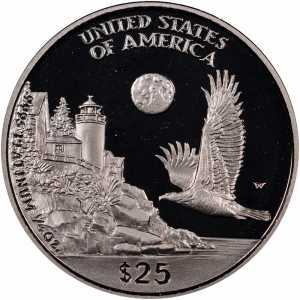  25 долларов 1998 года, Американский платиновый орел - Новая Англия, фото 2 
