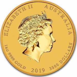  3 000 долларов 2019 года, Год свиньи, фото 1 