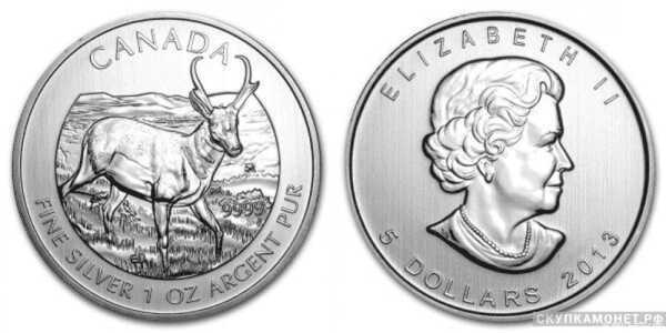  5 долларов 2013 года «Антилопа»(серебро, Канада), фото 1 