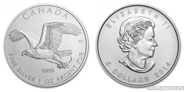  5 долларов 2014 года «Белоголовый орлан»(серебро, Канада), фото 1 
