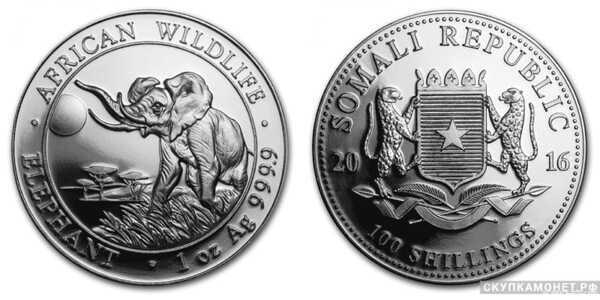  100 шиллингов 2016 года «Слон»(серебро, Сомали), фото 1 