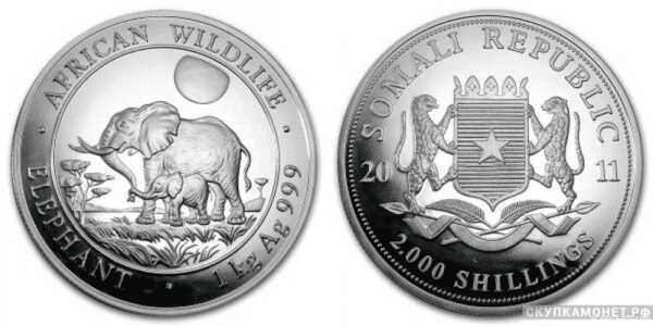 2000 шилингов 2011 года «Слон»(серебро, Сомали), фото 1 