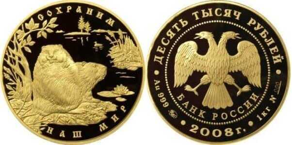  10000 рублей 2008 год (золото, Речной бобр), фото 1 