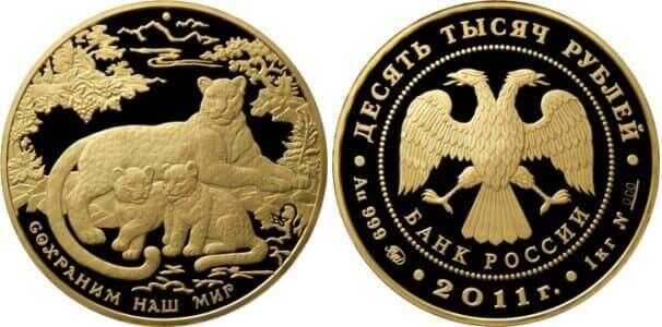  10000 рублей 2011 год (золото, Переднеазиатский леопард), фото 1 